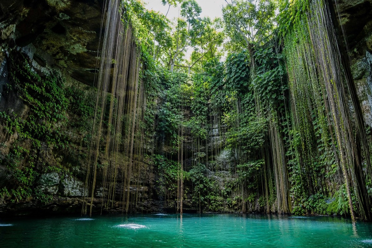 A refreshing swim in a Yucatan cenote after the ruins