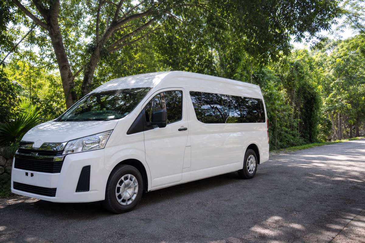 A private air-conditioned van for the day