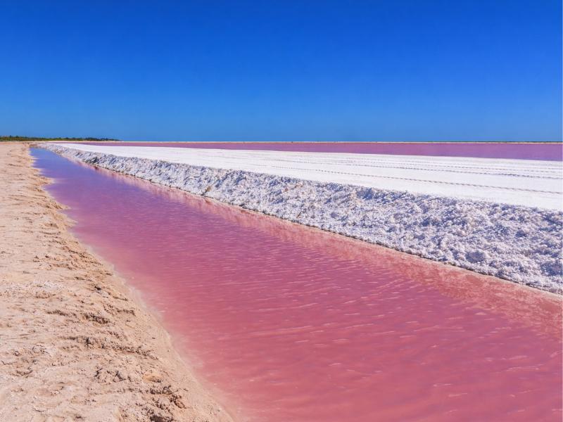 Private Chichen Itza, Cenote Ik Kil, Rio Lagartos & Las Coloradas Day Tour